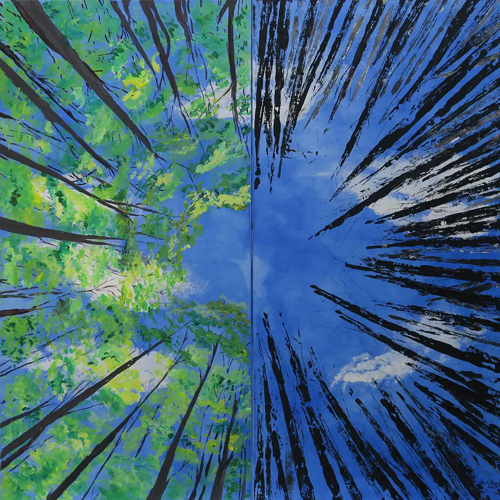 Schwalgin - Klimawandel